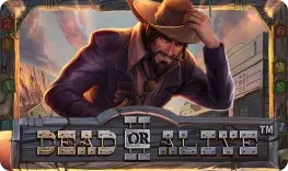 Casino Venezia offre il gioco online Dead or Alive II