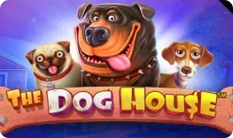 Casino Venezia offre il gioco online The Dog House